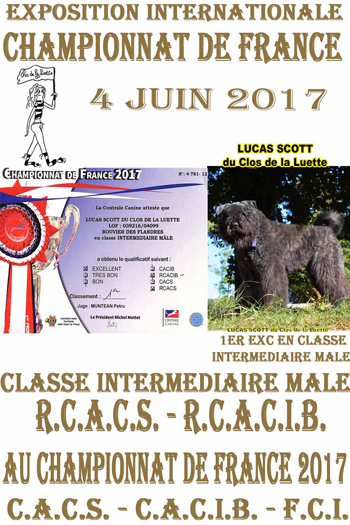 LUCAS SCOTT du Clos de la Luette championnat de france 17